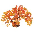 HUGO KAMISHI BONSAI AUTUMN 23CM